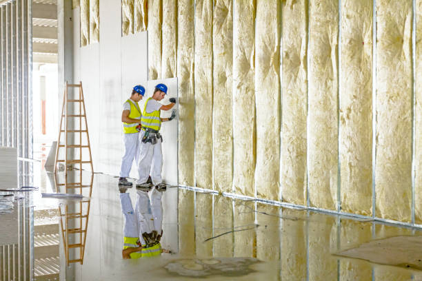 Best Wall Insulation Installation  in Ethete, WY